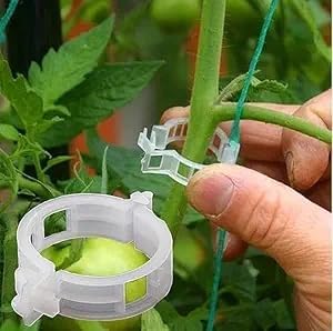 Plant Support Garden Clips | Trellis Clips for Tomato Vine Vegetables Beans Fruits and Flowers | Durable Garden Accessories to Help Plants Grow Upright