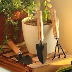 Metal Tools with Wooden Handles for Digging, Cultivating and Aerating | Durable Gardening Tool Kit for Home Garden, Pots | Set of 3