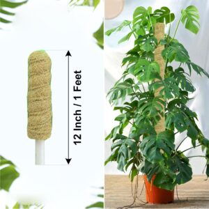 Natural Moss Stick for Climbing Plants, Strong Support for Money Plant, Monstera, Pothos, Indoor Outdoor Use, Manual, 50 Grams (1, 1 Feet)