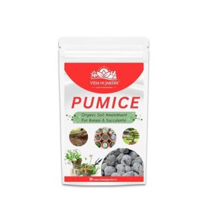 Organic Pumice for Soil Amendment of Bonsai and Succulents