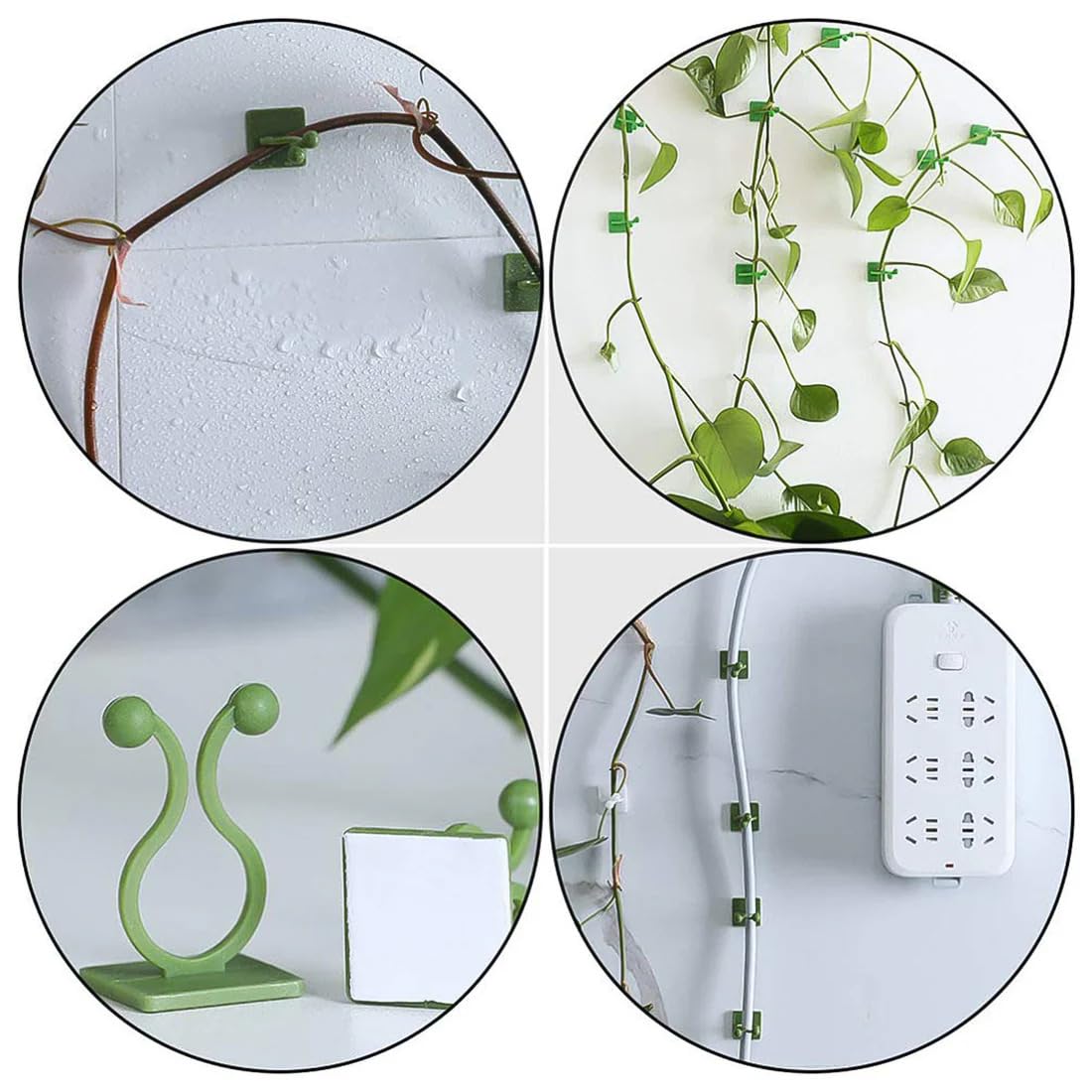 Plant Climbing Wall Clips, Self Adhesive Support for Money Plant, Creepers and Climbers | Plant Clips for Climbers Plant Wall Clips Plant Support - Image 4